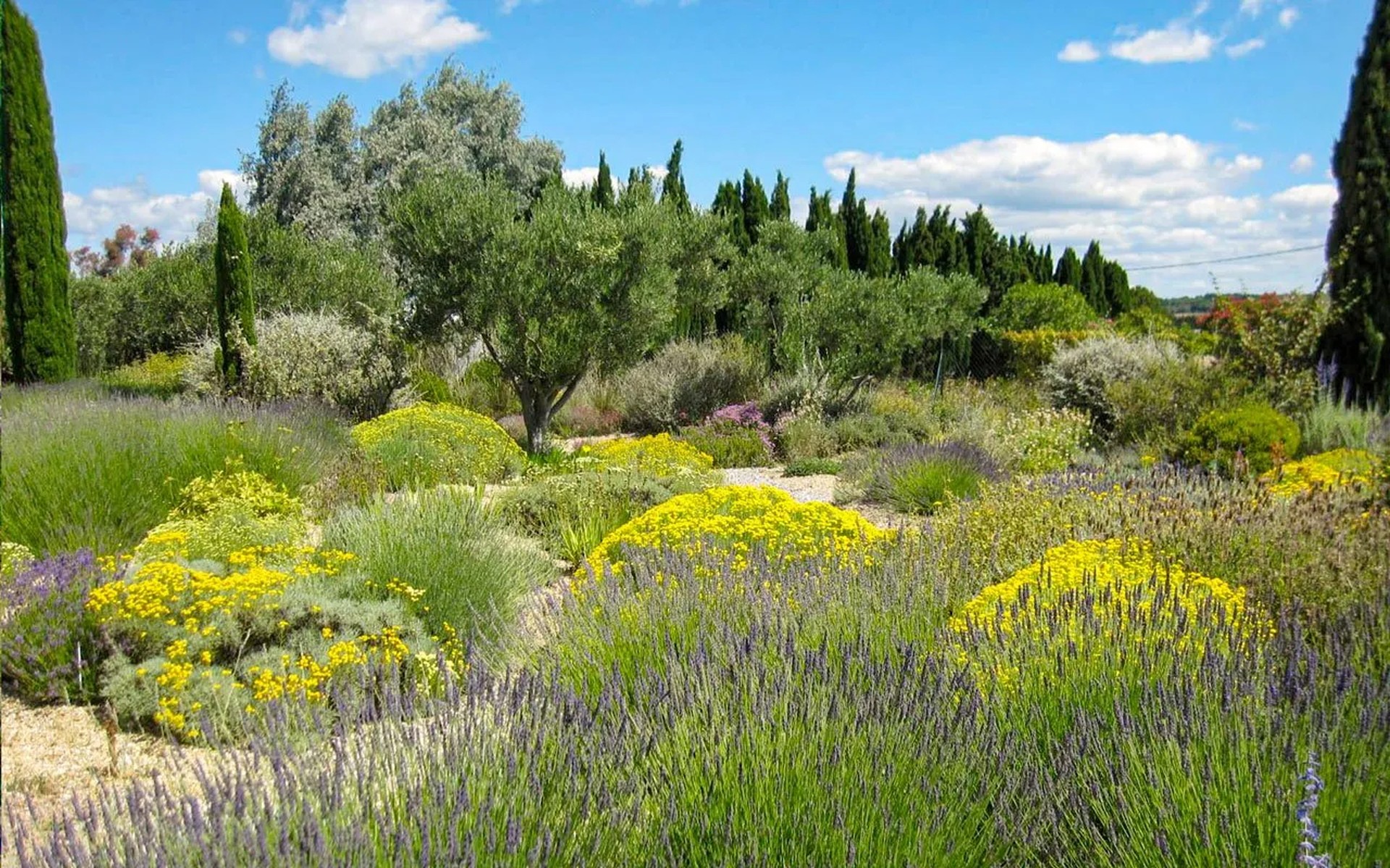 Jardin conçu à Strasbourg